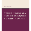 Türk İş Hukukunda Toplu İş Sözleşmesi Yetkisinin Düşmesi (Ön Kapak)